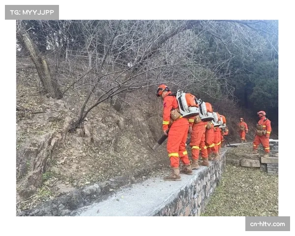 森林防守稳定性不足，空中对抗成功率有待提升
